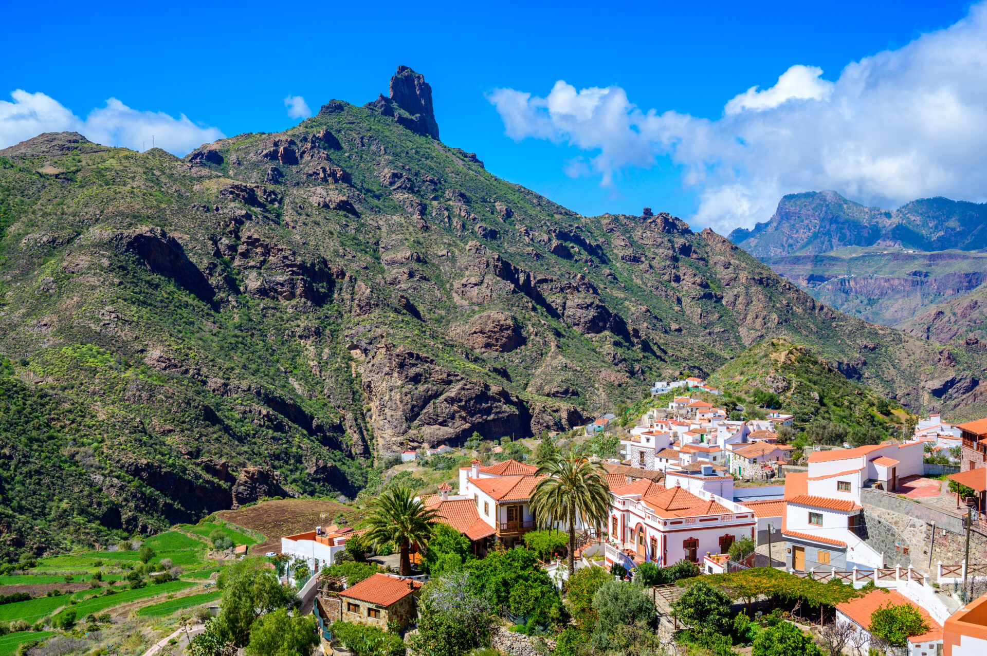 Tejeda