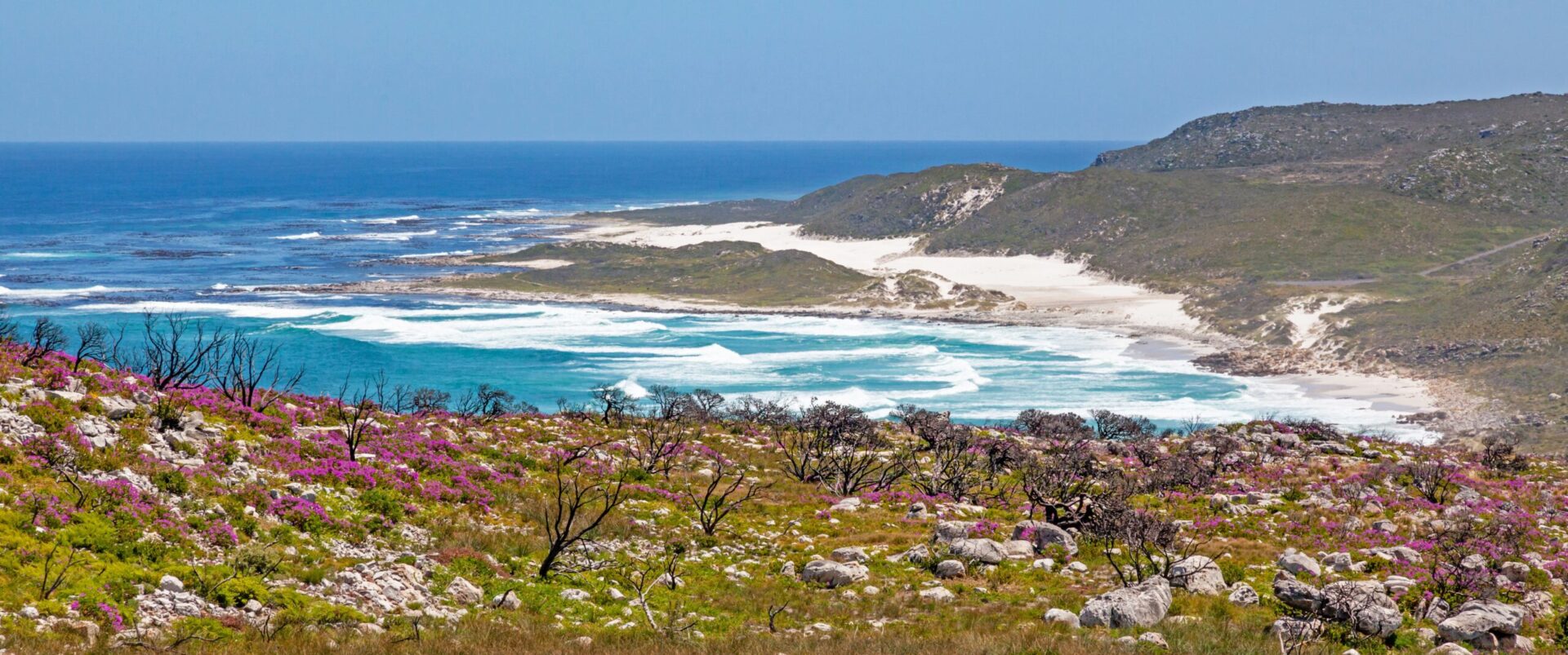 Südafrika „Gartenroute hautnah“ Termine 2026