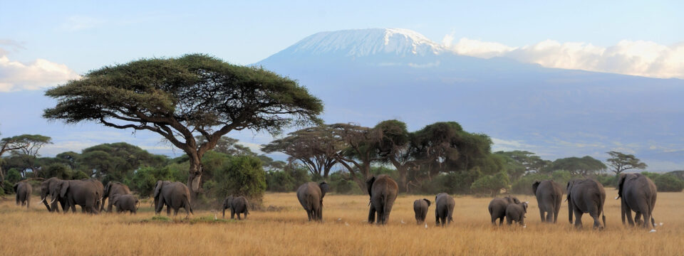 Amboseli Nationalpark
