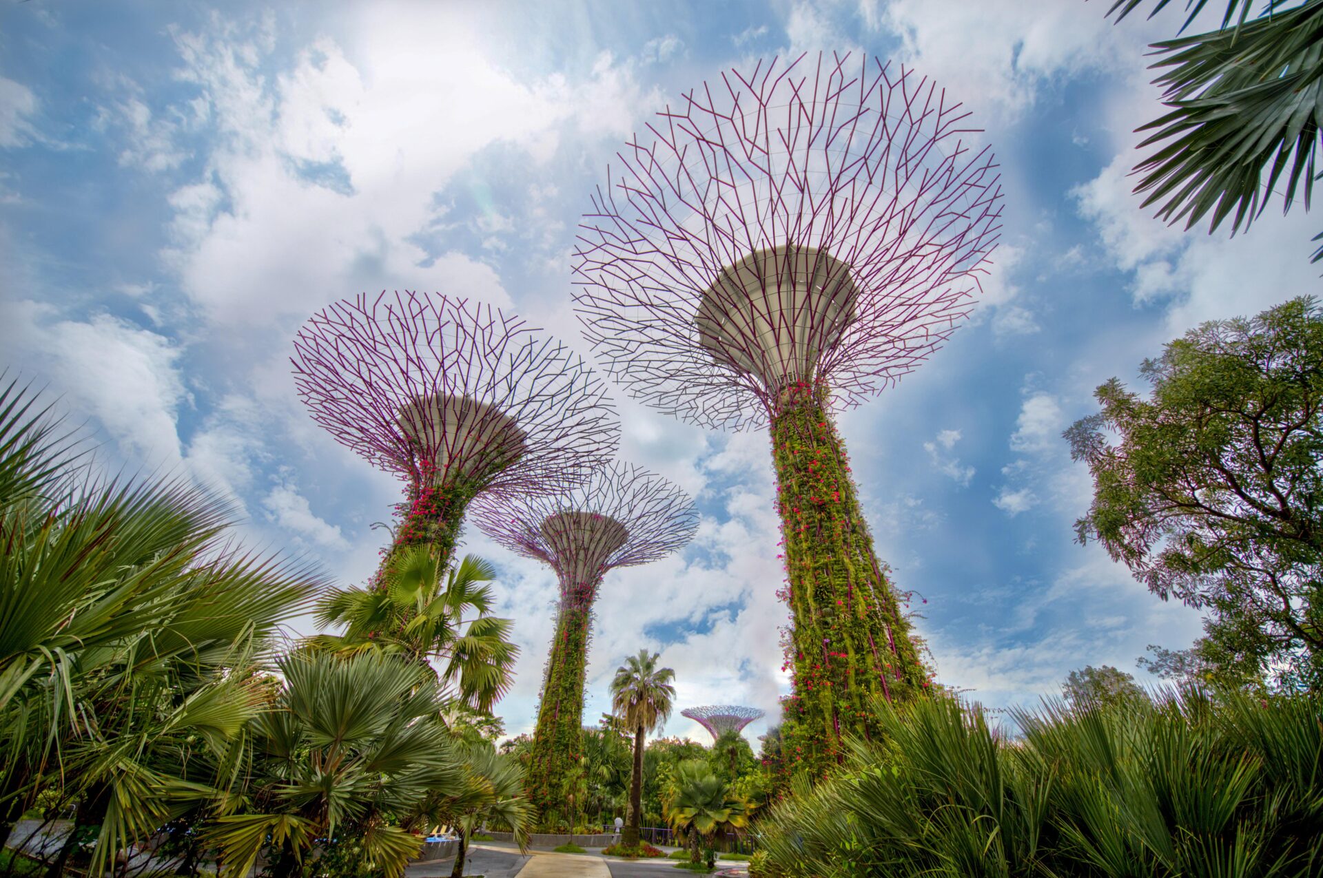 Singapur