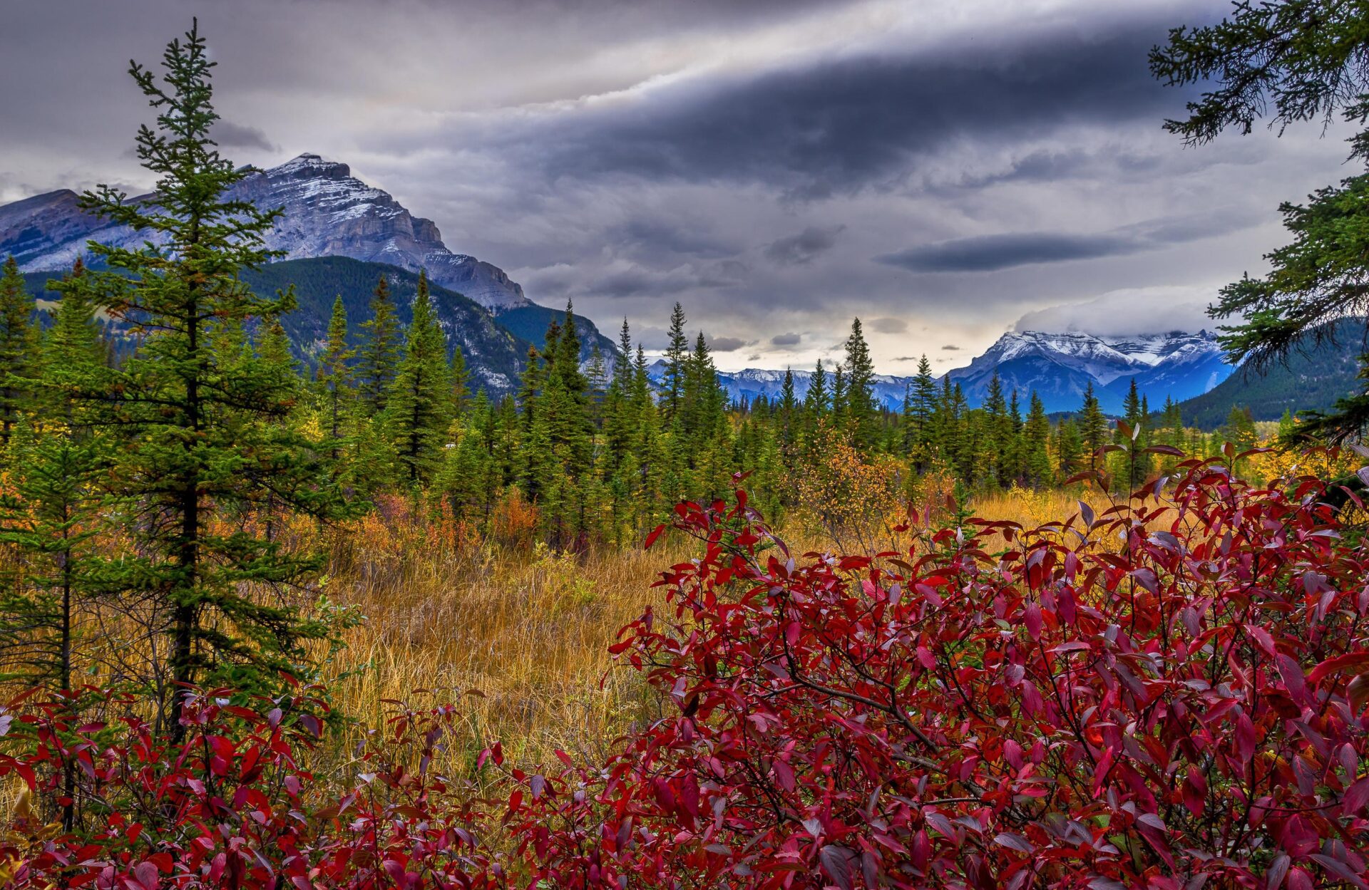 Herbstlandschaft in Kanada